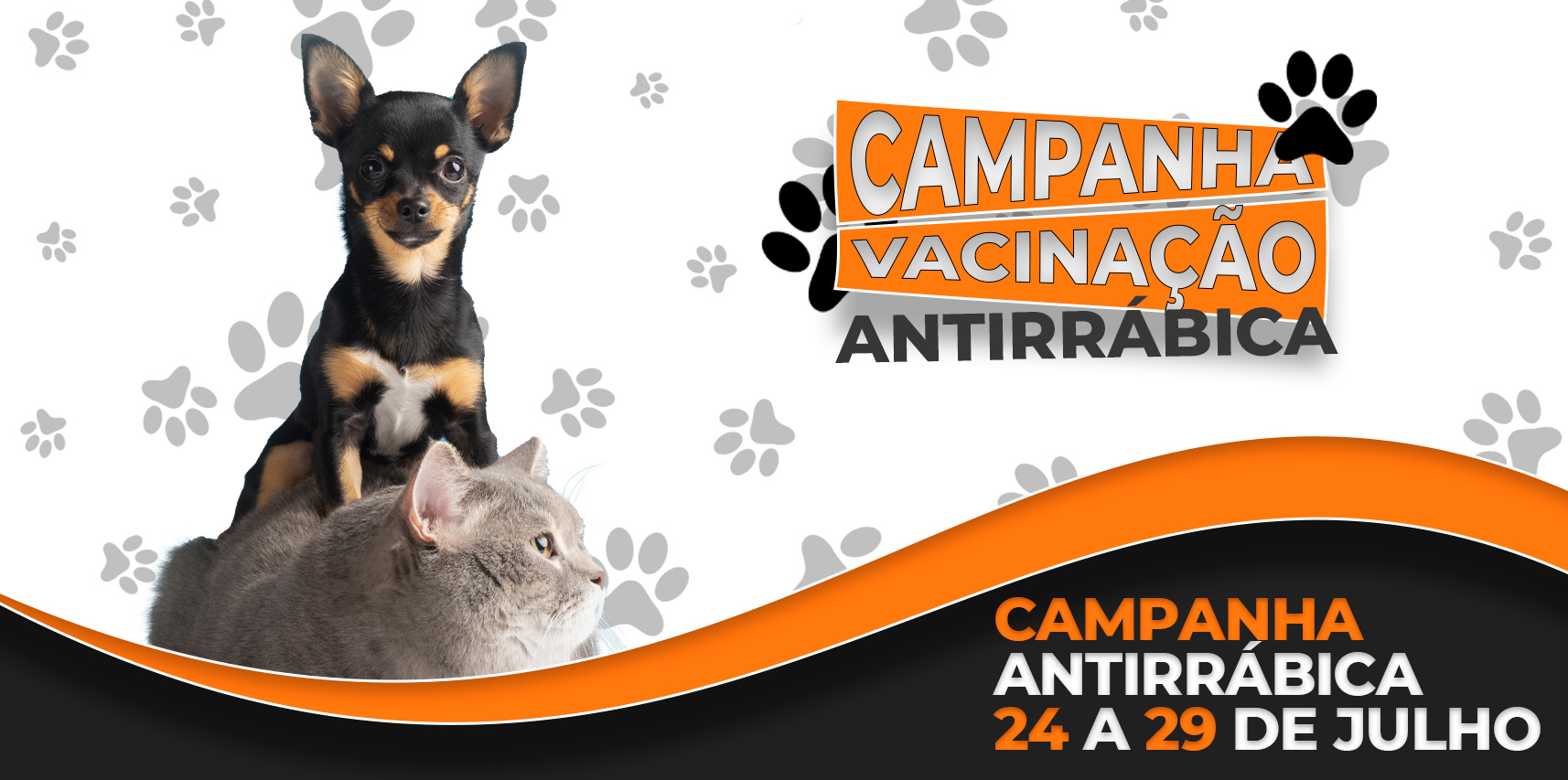 Confira o cronograma de vacinação antirrábica da próxima semana (24 a 29 de julho) e proteja seu bichinho