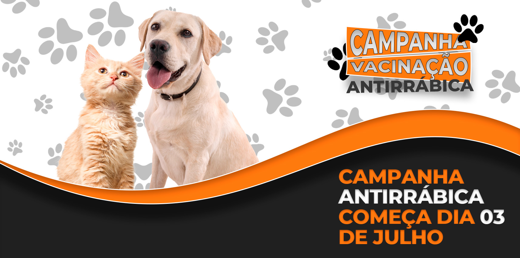 Campanha antirrábica começa segunda-feira (3/07) em Vargem Alta