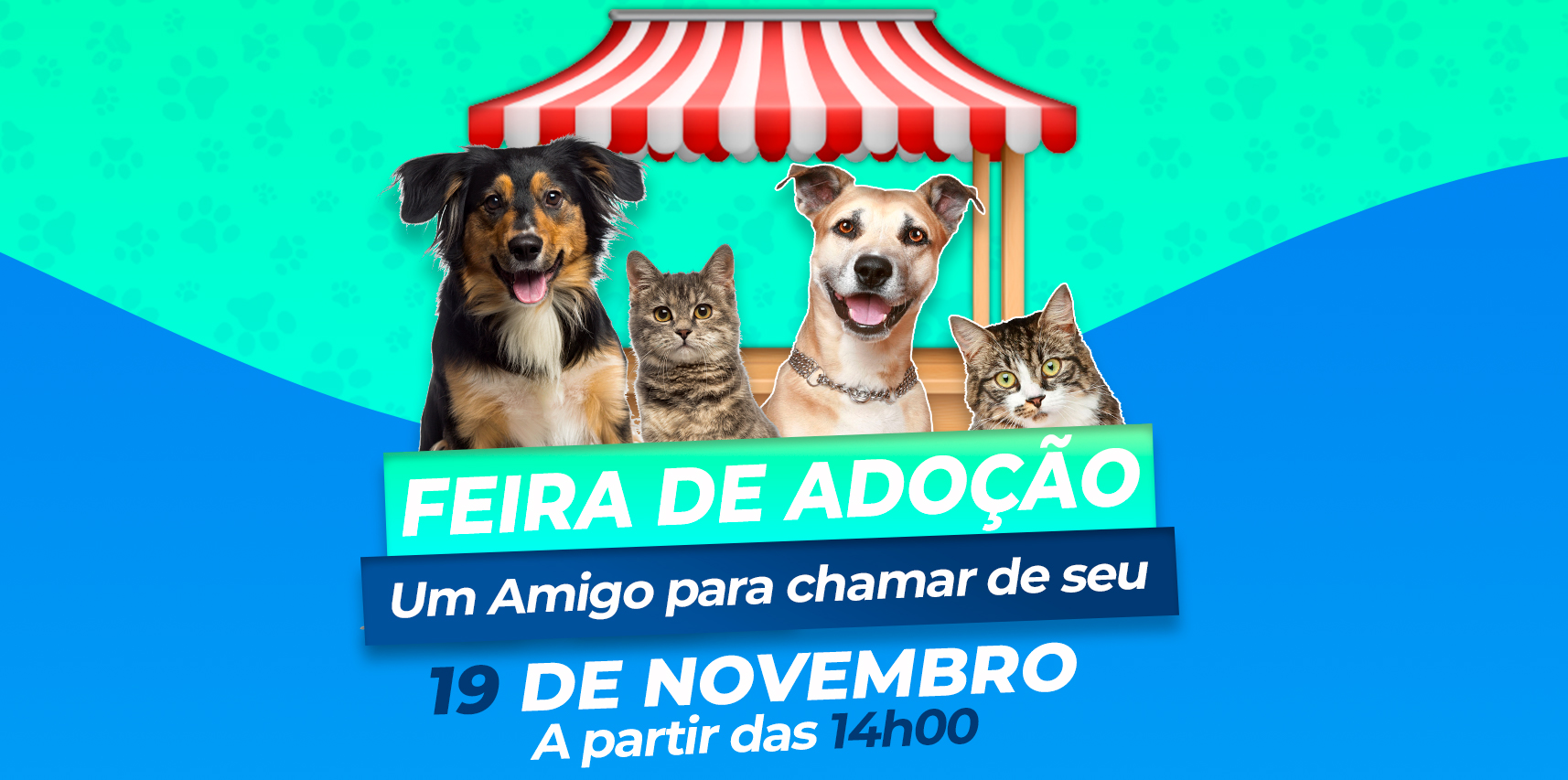 Domingo (19) em Vargem Alta terá música, festa e solidariedade em Campanha de Adoção de Animais Resgatados