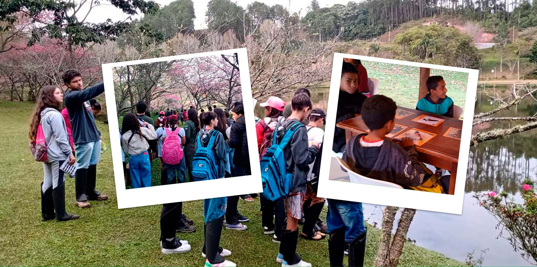 Projeto Passarinhar e Educar: Estudantes de Vargem Alta se engajam na conservação da Saíra-Apunhalada