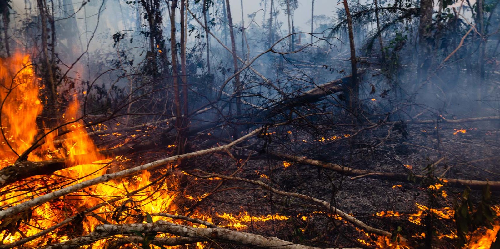 Prefeitura de Vargem Alta alerta sobre o risco das queimadas