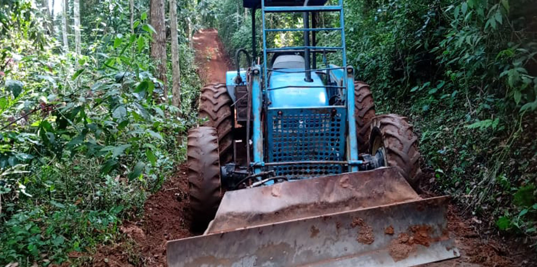 Secretaria de Agricultura auxilia produtores na limpeza de carreadores para safra do café conilon