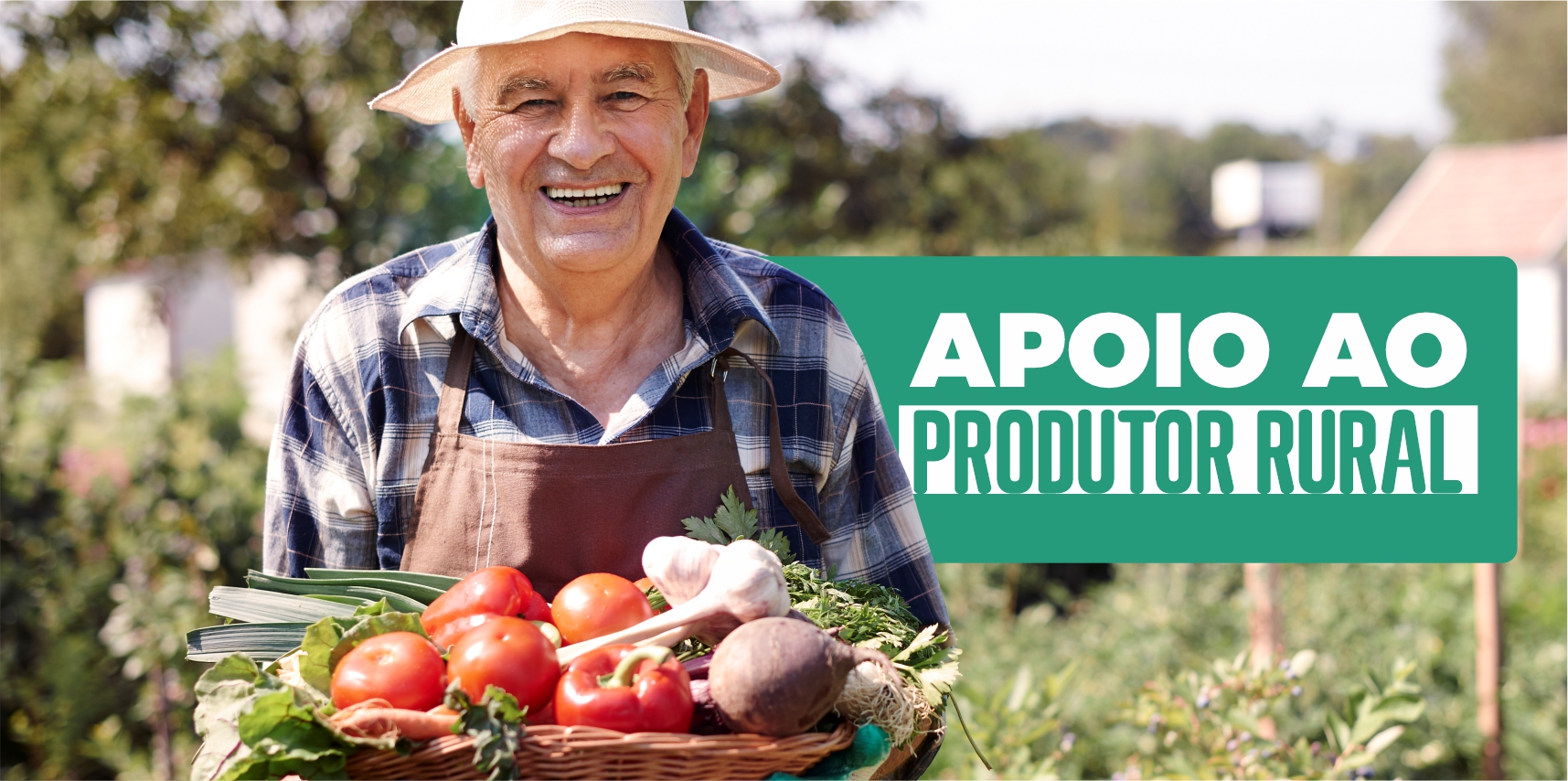 Secretaria de Agricultura e Incaper apoiam agricultores na participação de chamada pública para o PNAE