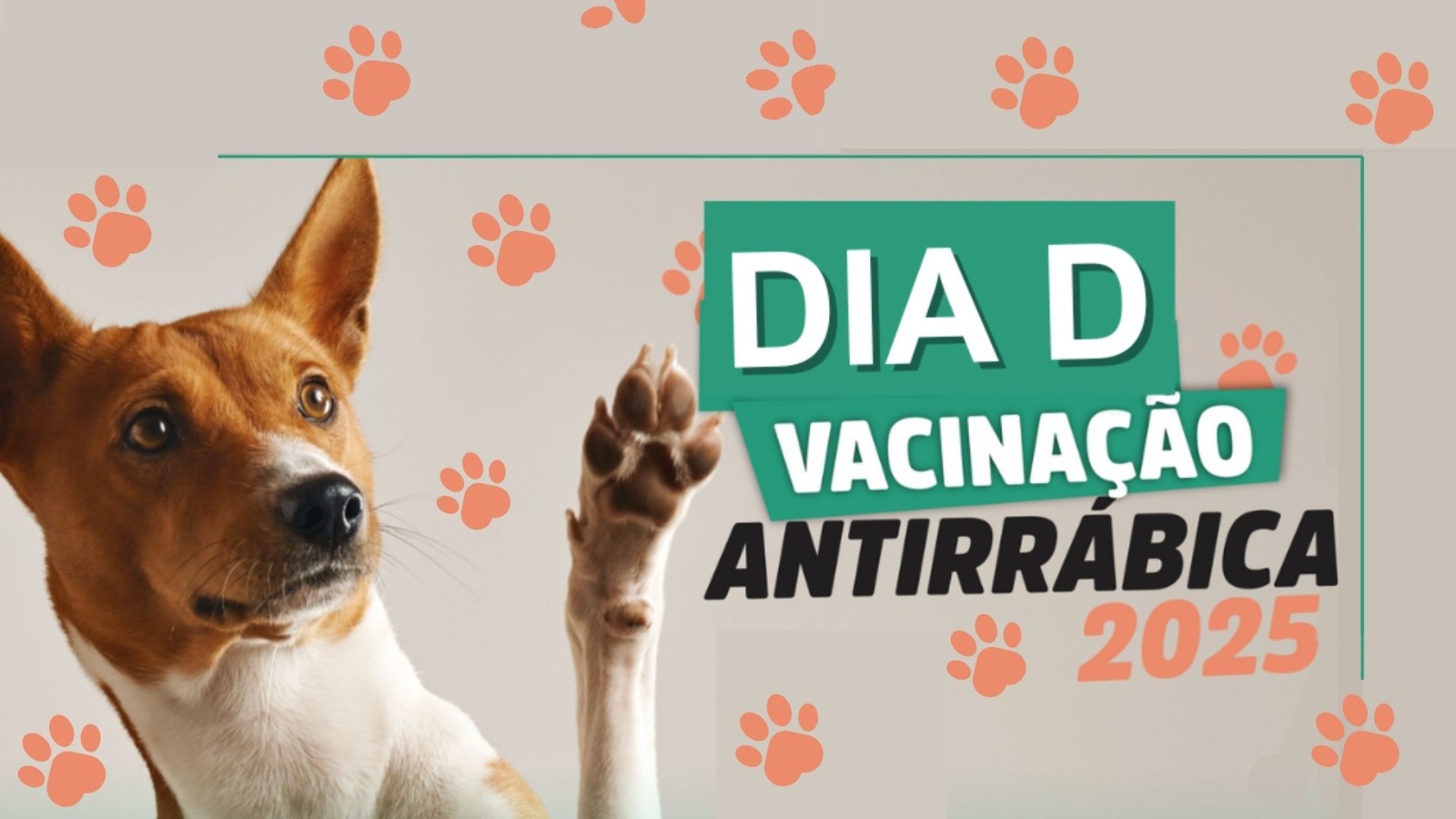 Dia D de Vacinação Antirrábica em Vargem Alta