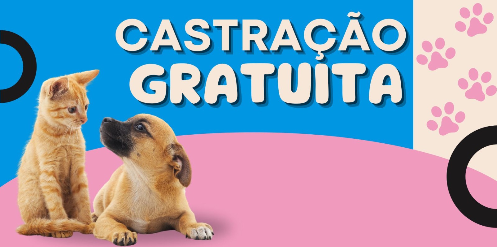 Castração gratuita para cães e gatos pelo Programa Pet Vida