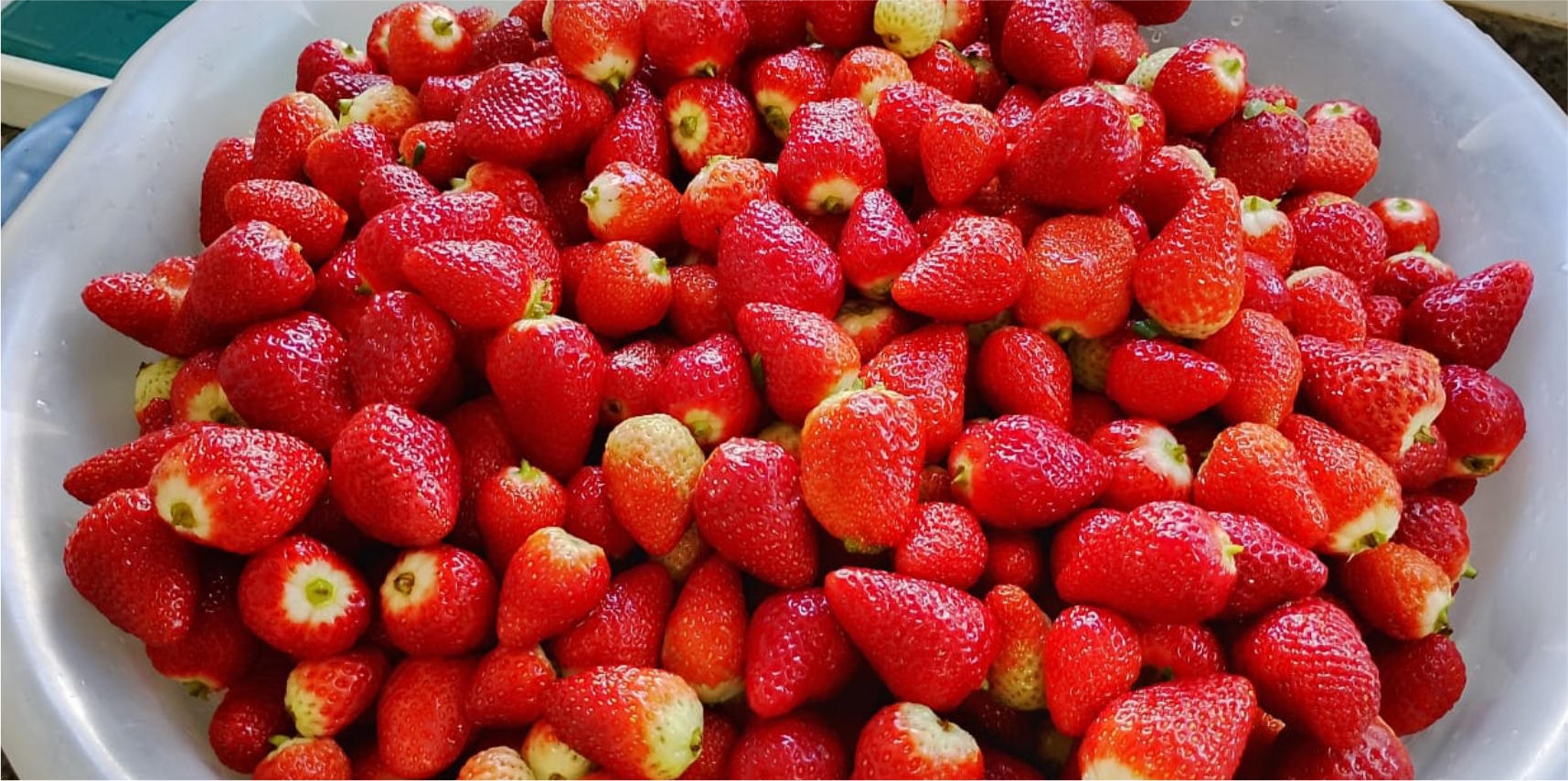 Alimentação Escolar de qualidade é prioridade em Vargem Alta