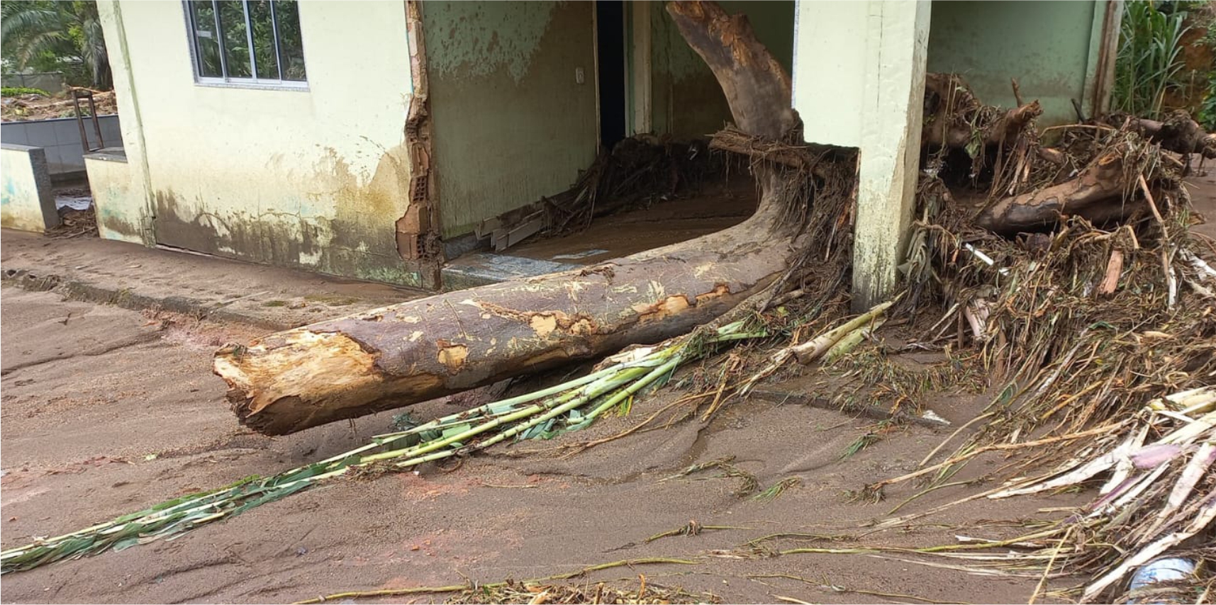 Prefeitura de Vargem Alta age rápido após fortes chuvas: veja a situação das comunidades afetadas