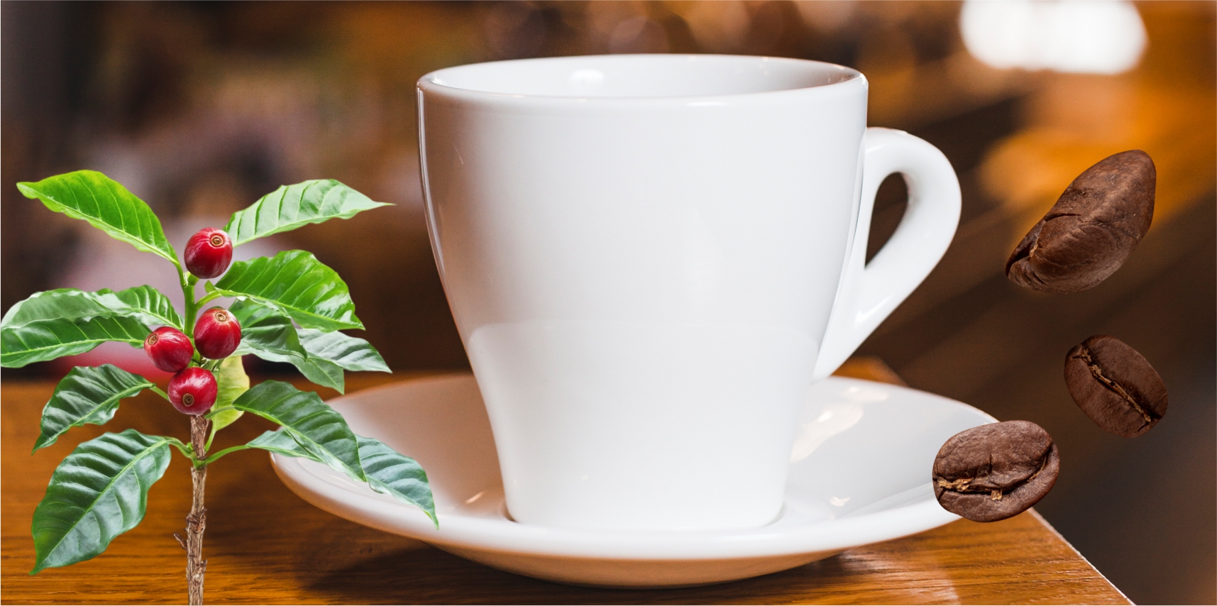 Prefeitura de Vargem Alta abre chamada pública para compra de café arábica