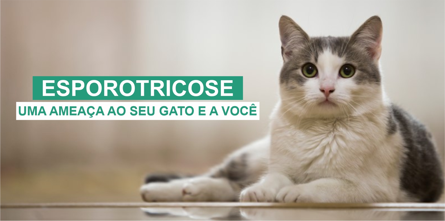 Esporotricose: o que precisamos saber?