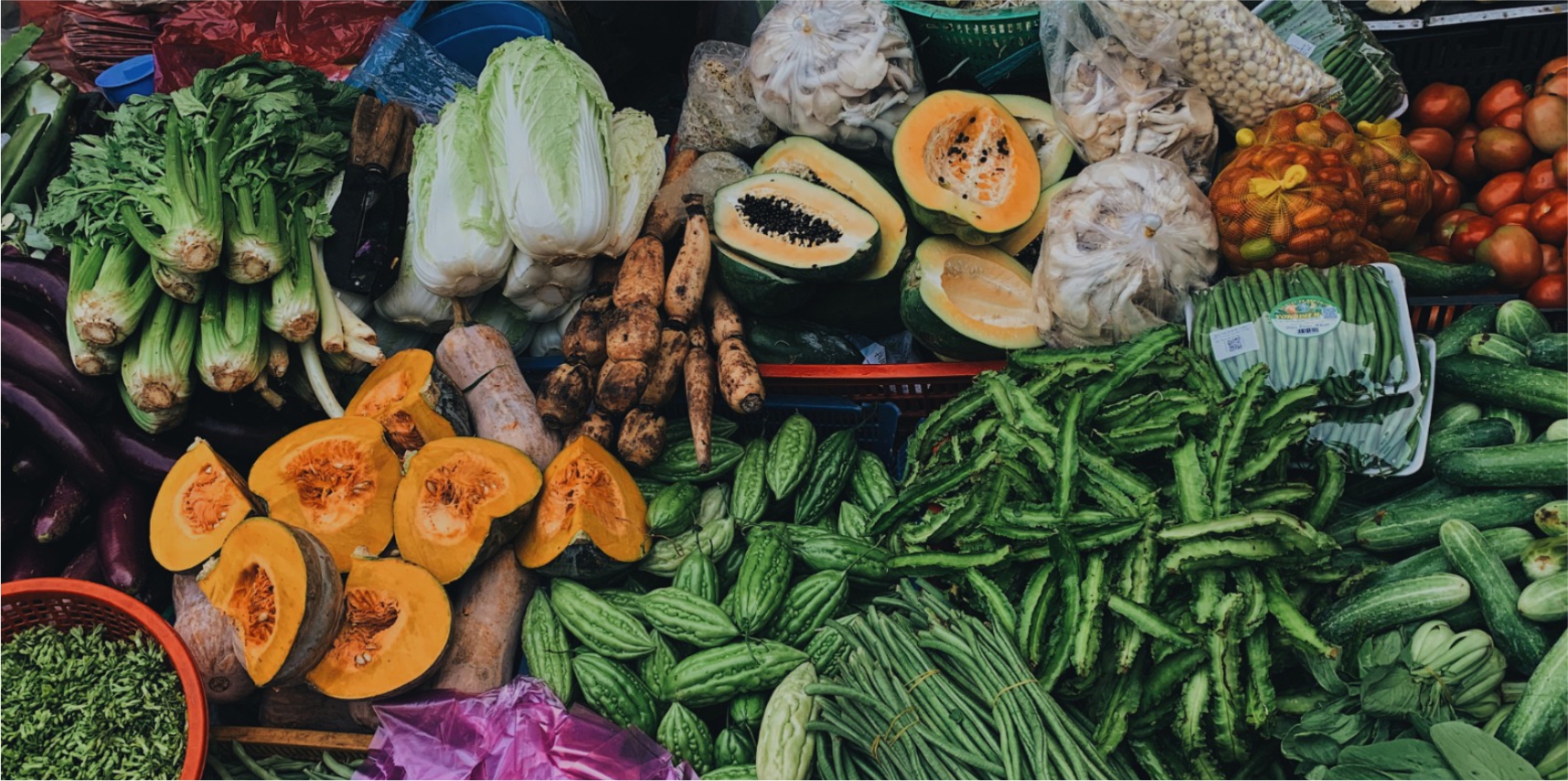 Feira do Produtor Rural entra em recesso de fim de ano e retoma atividades em janeiro