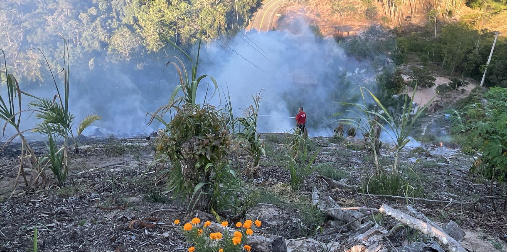 Incêndio atinge comunidade de Richimond e mobiliza Defesa Civil e Corpo de Bombeiros
