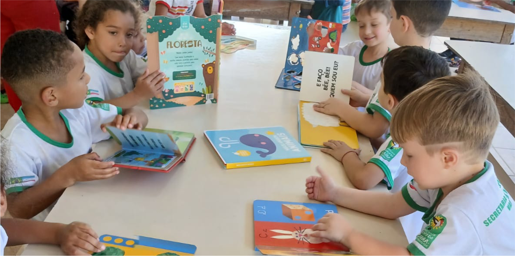 Prefeitura de Vargem Alta adquire bibliotecas com 1200 livros para a Educação Infantil