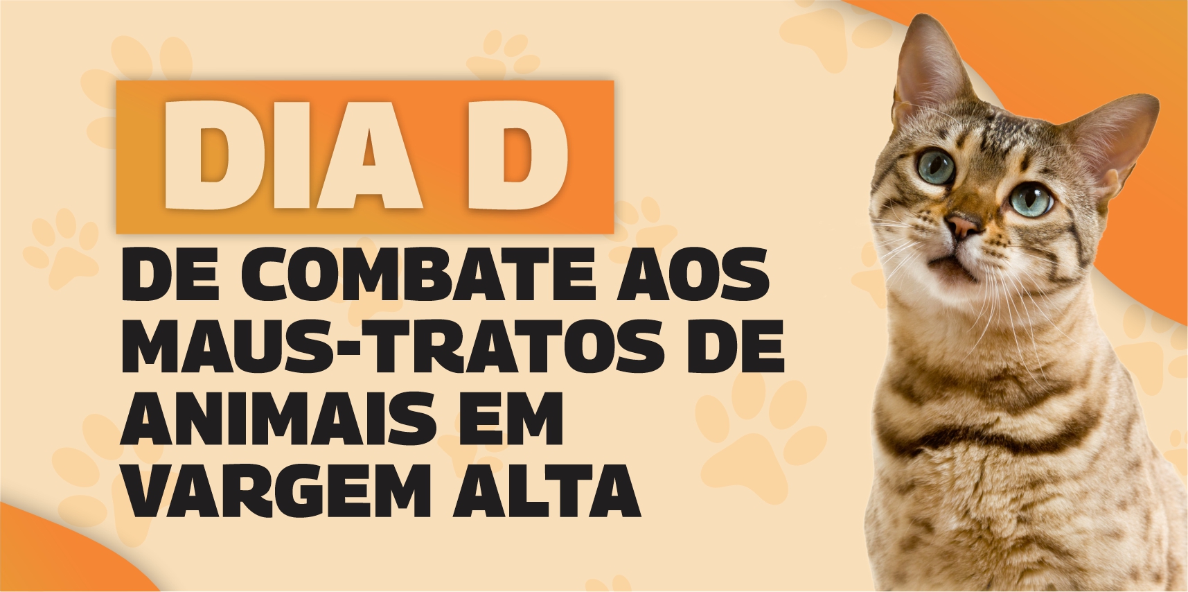 Vargem Alta promove evento especial em prol da causa animal no dia 30 de abril