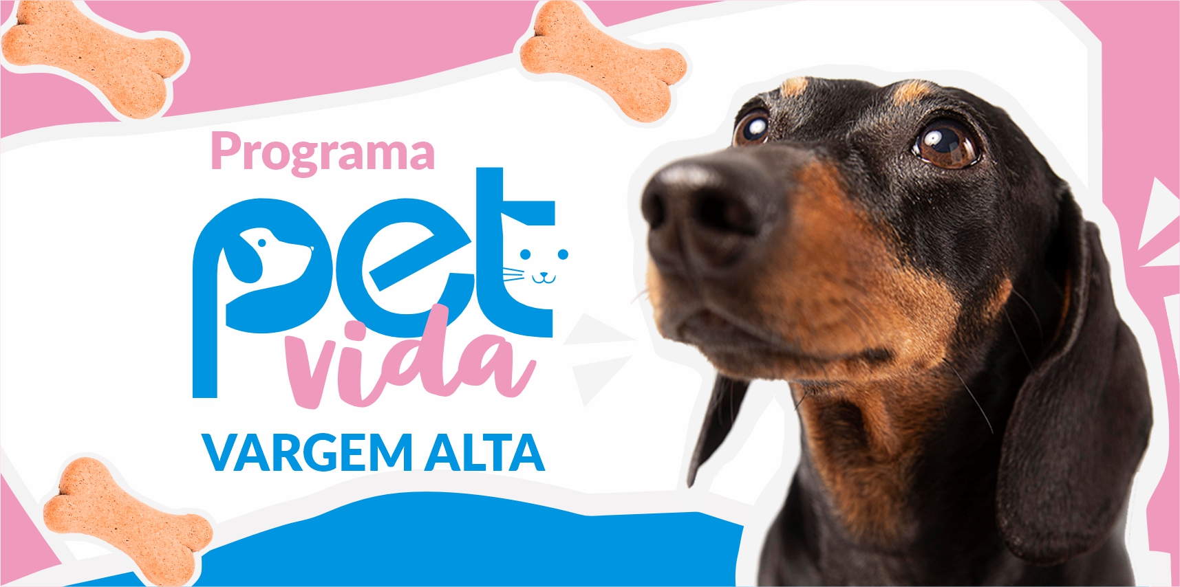 Vargem Alta participa do Programa Pet Vida