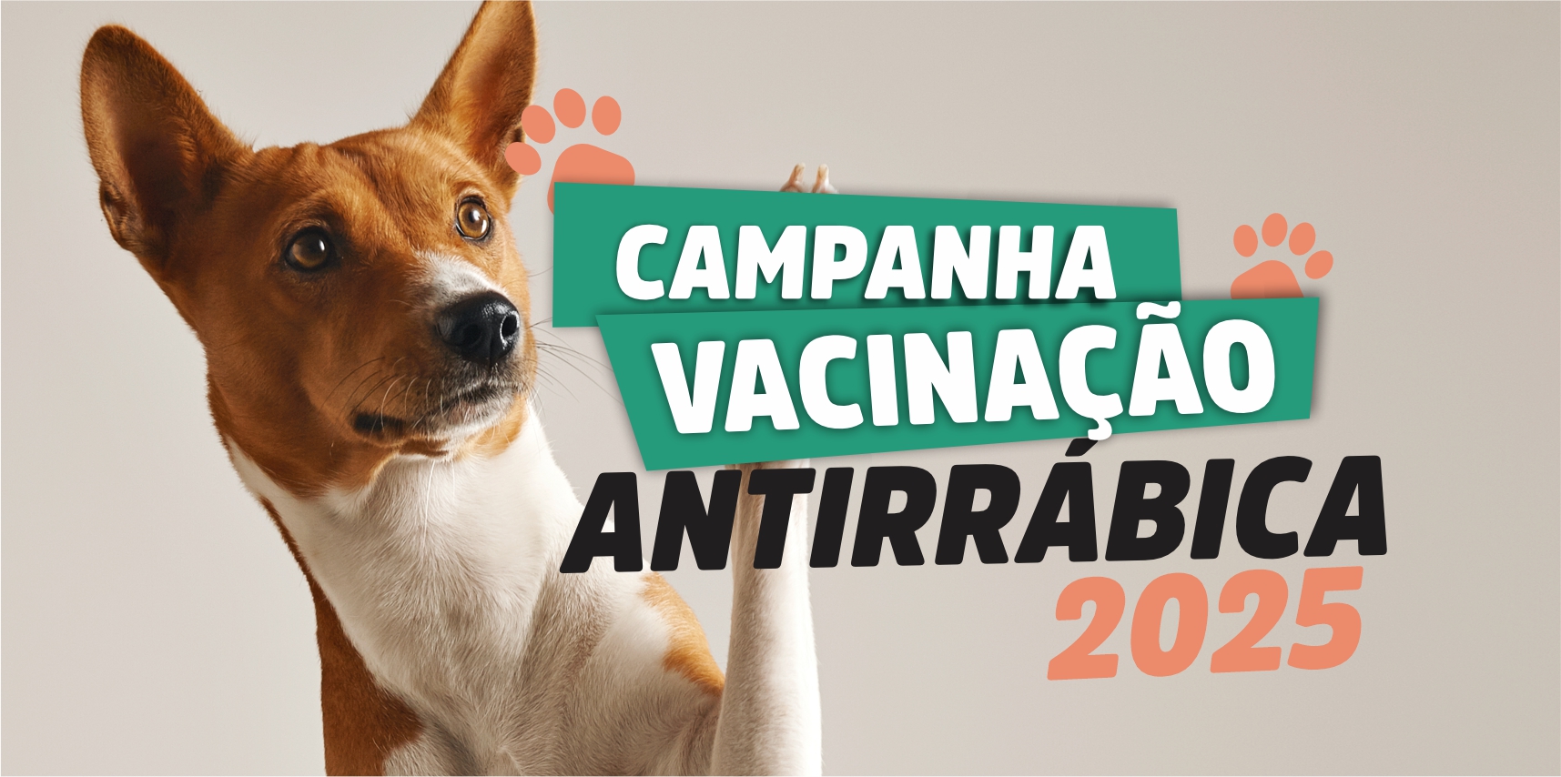 Confira o cronograma de vacinação antirrábica desta semana (22 a 26 de setembro)