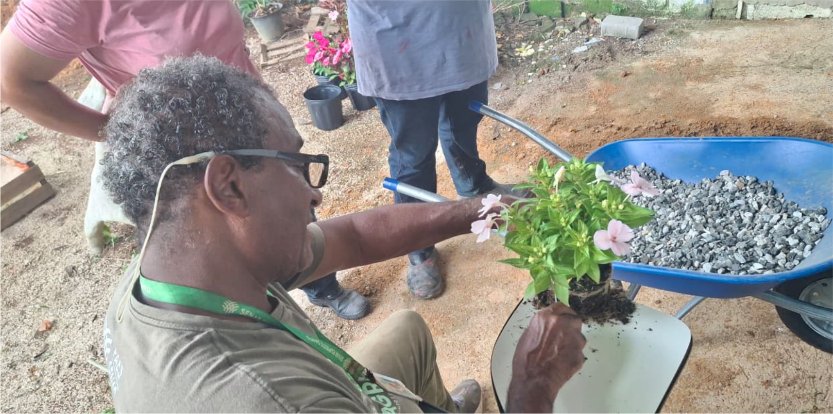 Vargem Alta investe na produção de mudas ornamentais para deixar a cidade ainda mais bonita