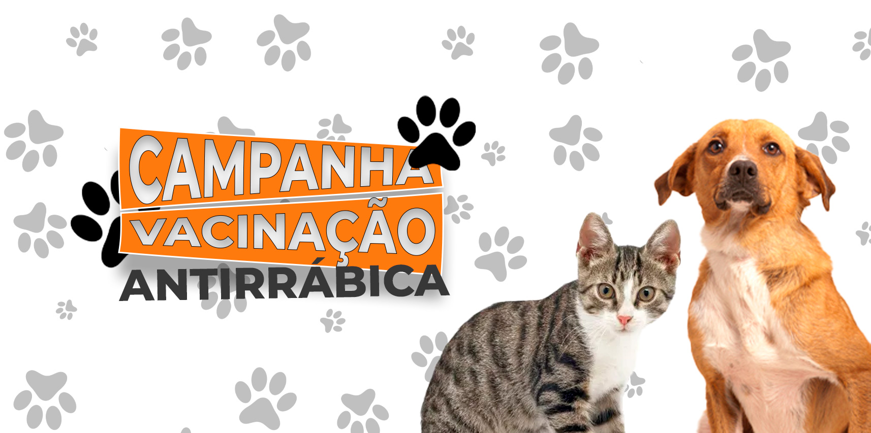 Confira o cronograma de vacinação antirrábica da próxima semana (19/07 a 22/07) e proteja seu bichinho