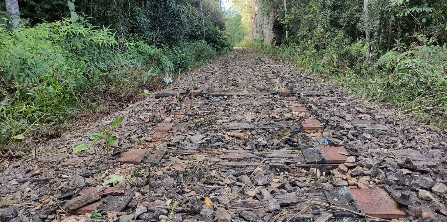 Criminosos roubam trilhos da linha férrea em Vargem Alta